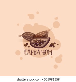 Vector illustration of spices cardamom.