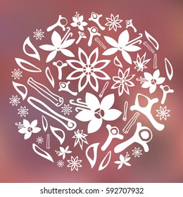 vector illustration of  spices in circle shape design on blurred modern background