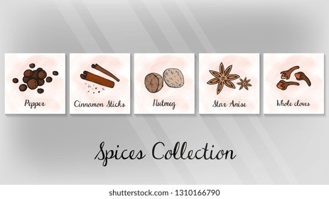 Vector Illustration of Spices Collection: Pepper, Cinnamon Sticks, Nutmeg, Star Anise, Whole Cloves