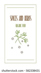 Vector illustration of spices and herbs on white background.