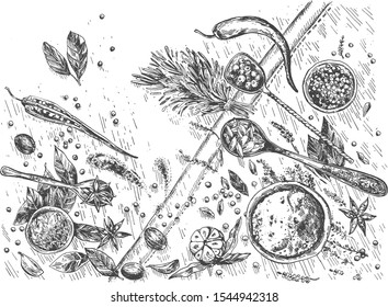 Vector illustration of spices market still life. Different aromatic herbs, bindings branches and leaves, nuts, garlic and hot pepper. Cuisine ingredients. Vintage hand drawn style.