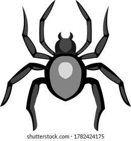 Vector illustration of a spider