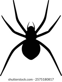 Vector Illustration of a Spider