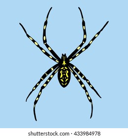Vector illustration of spider. Argiope bruennichi on blue background