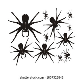 Vector illustration of a spider in black, used for design purposes or something