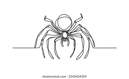 Vector illustration of spider isolated on white background.