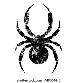 Vector illustration of spider, isolated on the white background. Black old sign with attrition and cracks. Series of Animals and Insect illustrations. 