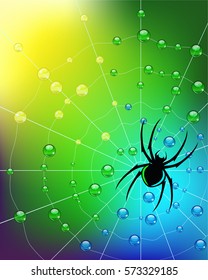 Vector Illustration. Spider on the net, colors of springs. Water drops