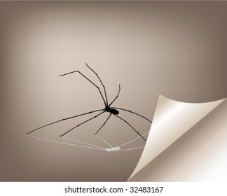 Vector illustration of a spider on a notebook .