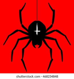Vector illustration of spider on red background