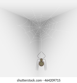 Vector Illustration Of A Spider On A Web In The Corner Of The Room