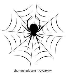vector illustration of a spider on the web.