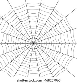 Vector illustration of spider on white background