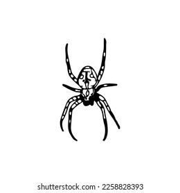 vector illustration of a spider silhouette