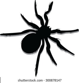 Vector Illustration Of A Spider Silhouette.