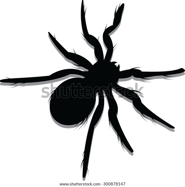 蜘蛛のシルエットのベクターイラスト のベクター画像素材