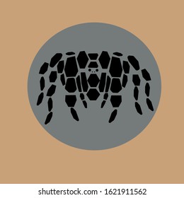  Vector illustration of a spider (tarantula) silhouette on background