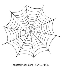 Vector illustration of a spider web