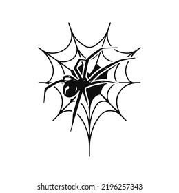 vector illustration of a spider with a web	