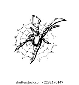 vector illustration of a spider with a web