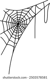 Vector illustration of a spider web