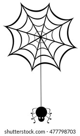 vector illustration of a spider web with spider