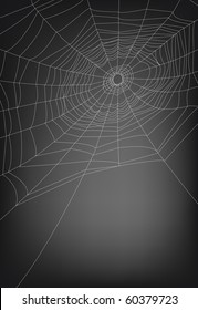 a vector illustration of spider web, with copy space. lines are not expanded so the thickness can be adjusted easily.