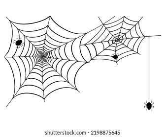 Vector illustration of a spider web. Halloween illustration.