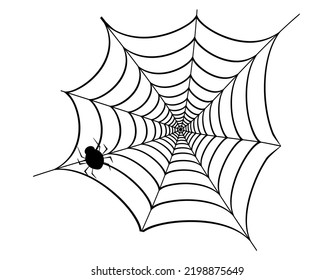 Vector illustration of a spider web. Halloween illustration.