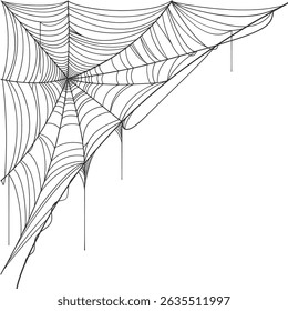 vector illustration of a spider web, Spider web line art vector eps