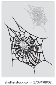 Vector illustration of spider web, outline and fill.
