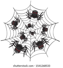 Vector illustration of a spider web with scary spiders