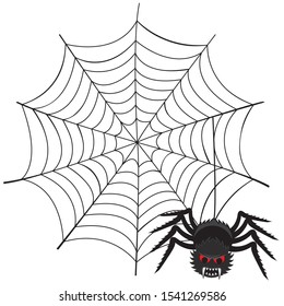 Vector illustration of a spider web with scary spiders