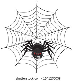 Vector illustration of a spider web with scary spiders