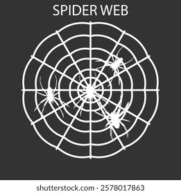 A vector illustration of a spider web silhouette featuring intricate strands, radial symmetry, and a hanging spider. Elegant, spooky, and ideal for Halloween, gothic, nature, or decorative designs.