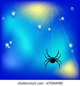 Vector illustration with spider , web and water drops