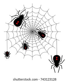 Vector illustration of spider web with spider. Which makes it look creepy and is compatible with Halloween day