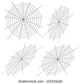 Vector illustration of spiders web