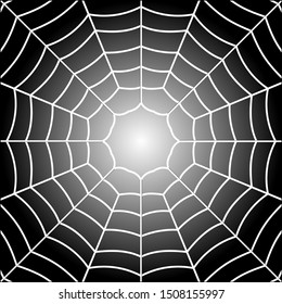 Vector illustration of spiders web