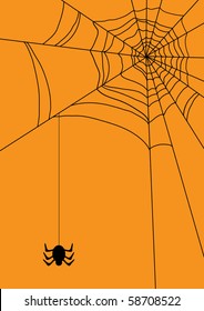 Vector illustration of spiders web
