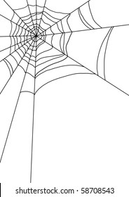 Vector illustration of spiders web