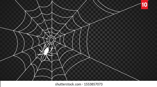 蜘蛛の巣 High Res Stock Images Shutterstock