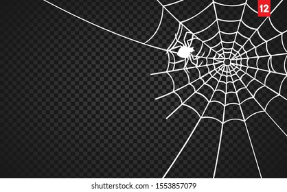 Vector Illustration of a Spiderweb on a Dark Background