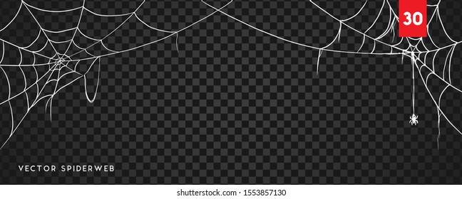 Vector Illustration of a Spiderweb on a Dark Background