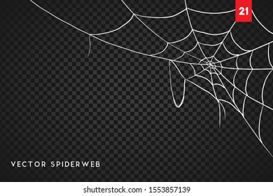 Vector Illustration of a Spiderweb on a Dark Background