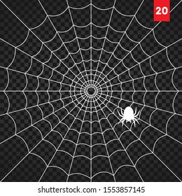 Vector Illustration of a Spiderweb on a Dark Background