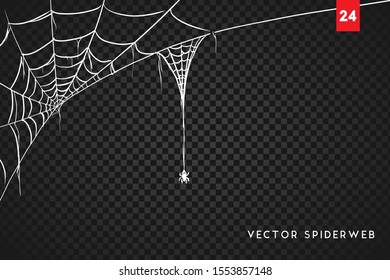 Vector Illustration of a Spiderweb on a Dark Background