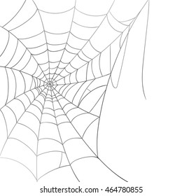 Vector Illustration of a Spiderweb on a White Background