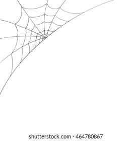 Vector Illustration Of A Spiderweb On A White Background
