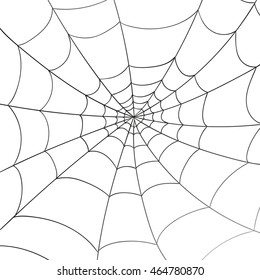 Vector Illustration of a Spiderweb on a White Background